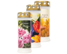 7-Tage Grablicht "Frühling"