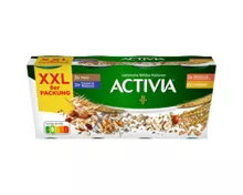 ACTIVIA Joghurt, Cerealien-Mix