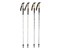 ADVENTURIDGE Faltbare Wanderstöcke