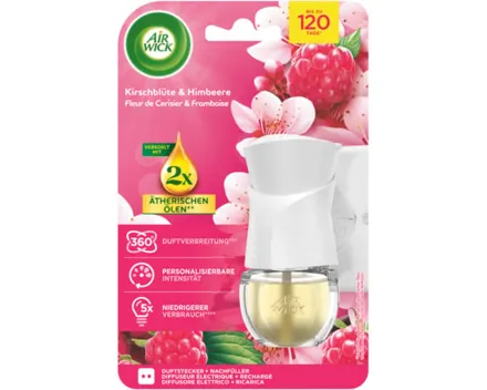 Airwick Duftstecker Starter Kirschblüte 19 ml