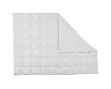 ALBIS Daunenduvet Wärmegrad 2, 160 x 210 cm