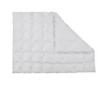 ALBIS Daunenduvet Wärmegrad 3, 200 x 210 cm