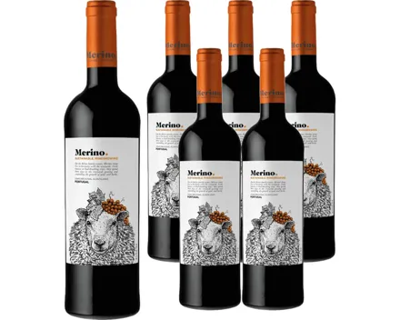 Alentejano IGP Merino Casa Relvas 6x 75cl (2022) – Rotwein, Portugal (0.75l)