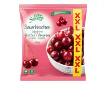 ALL SEASONS XXL Früchtesortiment, Sauerkirschen