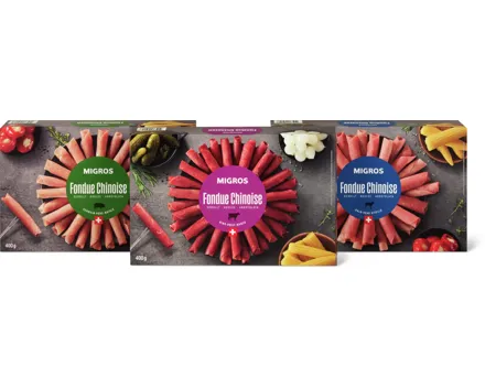 Alle Migros Fondue Chinoise