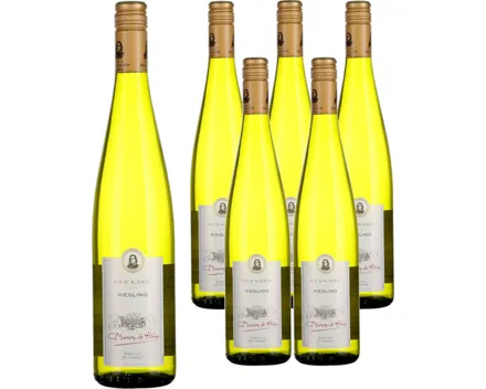 Alsace AOP Riesling Baron de Hoen 6x 75cl (2024) – Weisswein, Frankreich (0.75l)