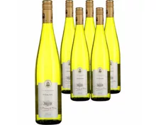 Alsace AOP Riesling Baron de Hoen 6x 75cl