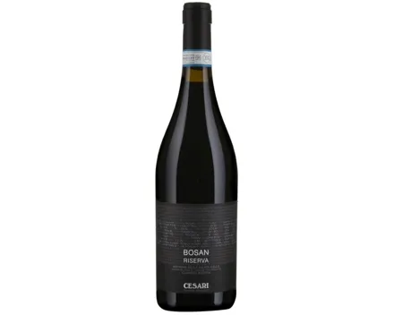 Amarone della Valpolicella DOC Bosan Riserva (2016) – Rotwein, Italien (0.75l)