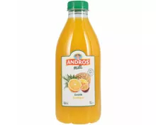 Andros Multi Fruchsaft Exotik