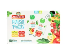 Andros Pocket Beutel assortiert 12x100g
