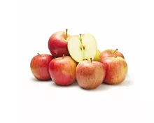 Äpfel Braeburn IP-Suisse