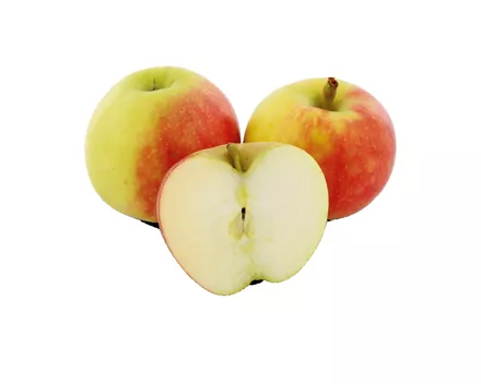 Apfel Elstar Klasse I