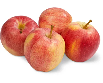 Äpfel Gala