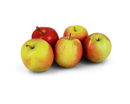 Äpfel Jazz süss-säuerlich IP-Suisse