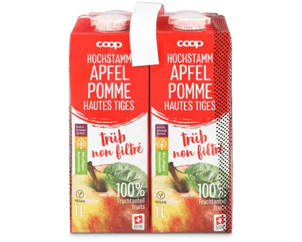 Apfelsaft naturtrüb 4x1l