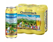 Appenzeller Bier Quöllfrisch naturtrüb 6x50cl