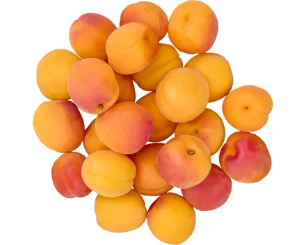 Aprikosen
