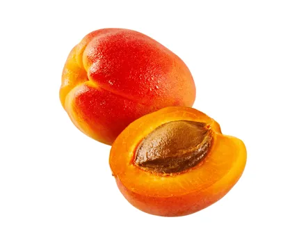 Aprikosen