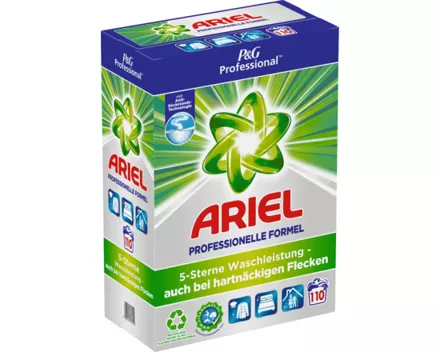 Ariel Pulver Professional Regulär 110 Waschgänge