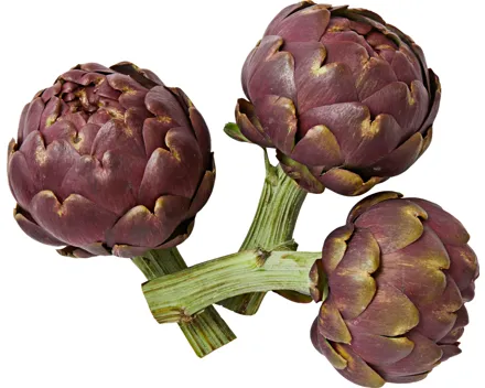 Artischocke