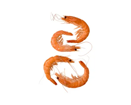 ASC Crevetten gekocht (Aktion nur im Tessin gültig)