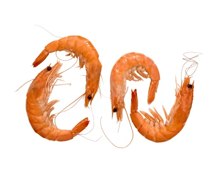 ASC Crevetten gekocht (Aktion nur im Tessin gültig)