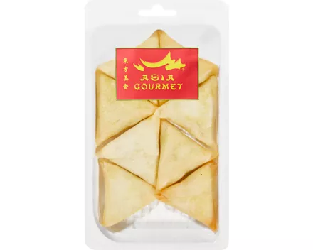 Asia Gourmet Samosa mit Gemüse