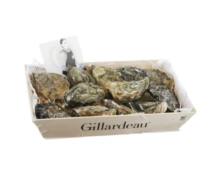 Austern Gillardeau Nr.3 12 Stück
