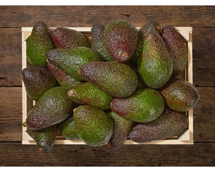 Avocado