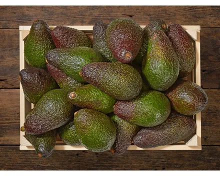 Avocado