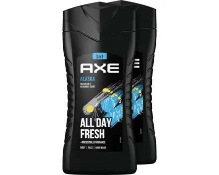 Axe Duschgel Alaska 2x250 ml