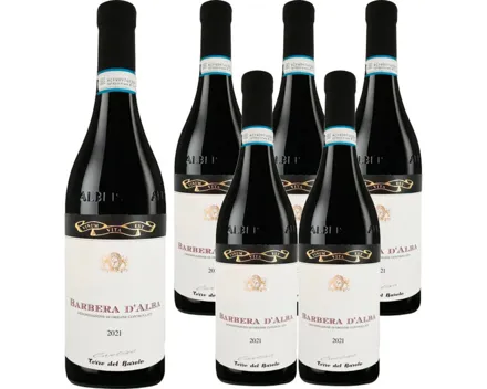 Babera DOC d'Alba Terre del Barolo 6x 75cl (2022) – Rotwein, Italien (0.75l)