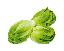 Baby Salat 3 Stück