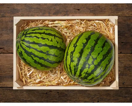 Baby Wassermelone