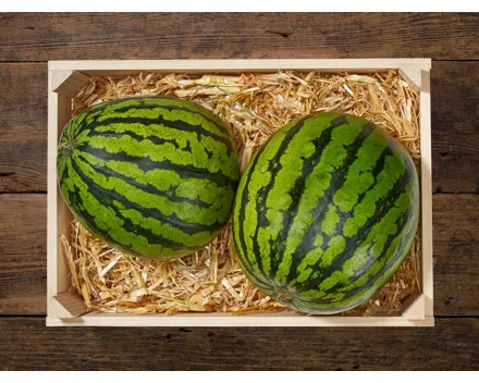 Baby Wassermelonen