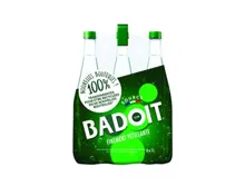 Badoit Mineralwasser mit Kohlensäure 6x1l