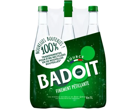 Badoit Mineralwasser mit Kohlensäure 6x1l