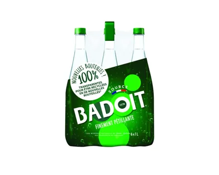 Badoit Mineralwasser mit Kohlensäure 6x1l