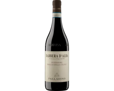 Barbera d'Alba DOC Bricco delle Olive Superiore Palladino (2021) – Rotwein, Italien