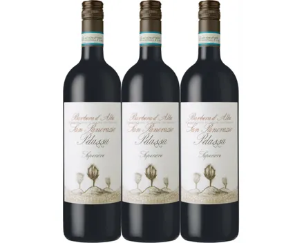Barbera d'Alba DOC San Pancrazio Daniele Pelassa 3x 75cl (2022) – Rotwein, Italien (0.75l)