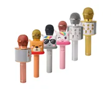 BAUHN Karaoke Mikrofon