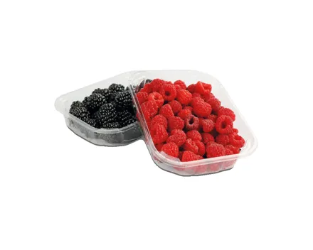 Beeren Duo Himbeeren / Heidelbeeren