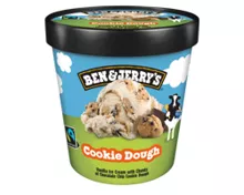 BEN & JERRY´S, Ben&Jerrys Mix 465ml, Cookie Dough