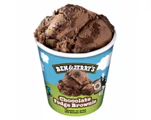 Ben&Jerry's Chocolate Fudge Brownie