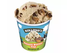 Ben&Jerry's Peanut Butter Cup