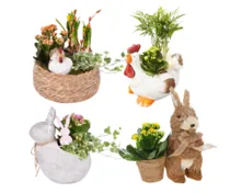 Bepflanztes Osterarrangement