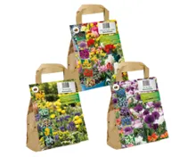 Bienen- und schmetterlingsfreundliche Blumenzwiebeln