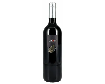 Bierzo DO Paixar Dragonte Bodegas y Viñedos Luna Beberide (2021) – Rotwein, Spanien (0.75l)