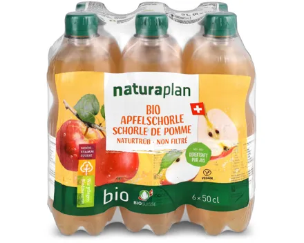 Bio Apfelschorle trüb 6x50cl
