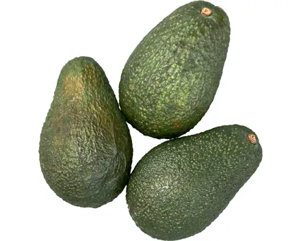 Bio Avocado